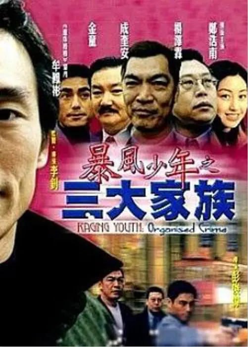 暴風(fēng)少年之三大家族 2001(全集)