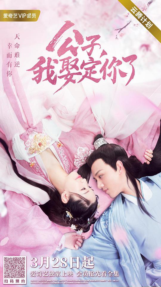 公子，我娶定你了(全集)