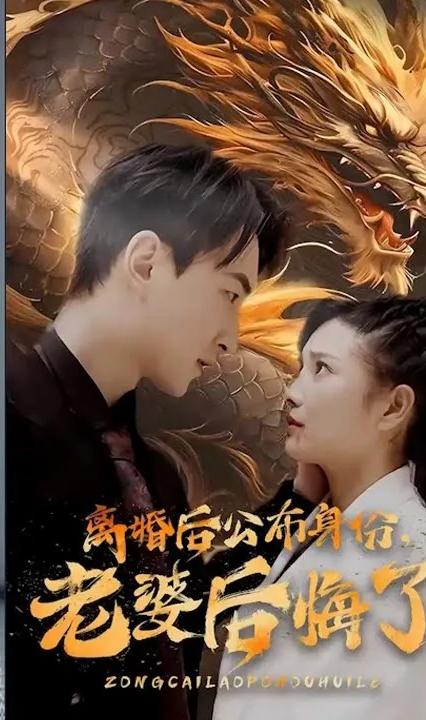 離婚后公布身份，老婆后悔了(全集)