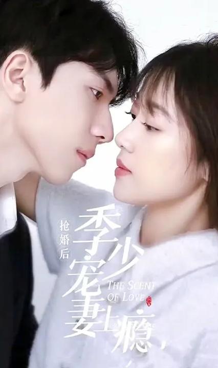 搶婚后，季少寵妻上癮(全集)